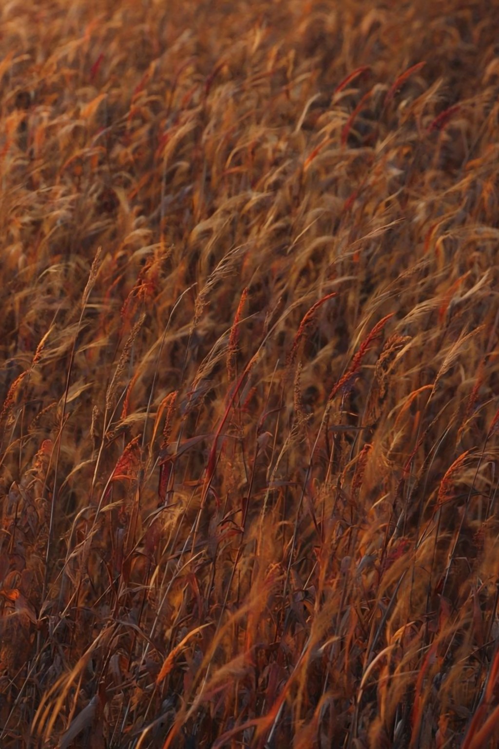 When the War Is Against Your&nbsp;Voice