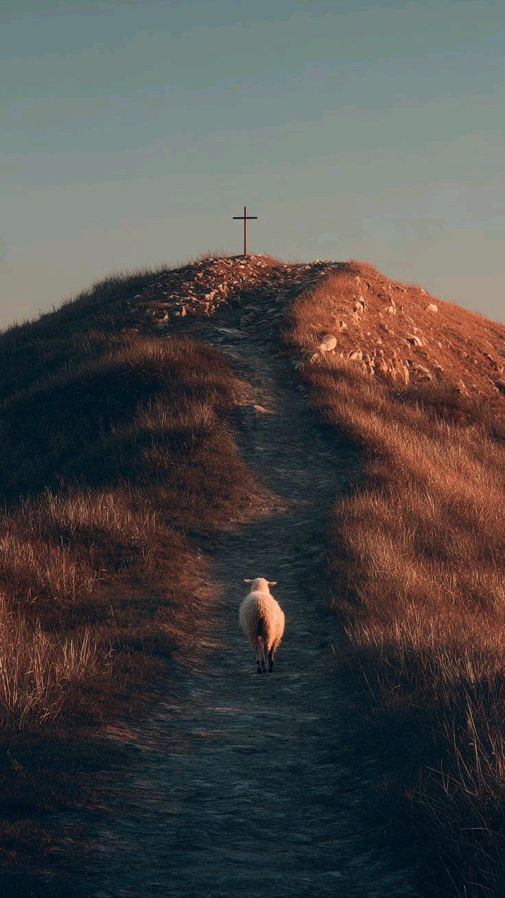 What exactly are we celebrating?