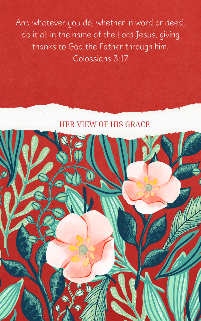 A decorative background featuring pink flowers and green leaves on a red backdrop, with the text 'And whatever you do, whether in word or deed, do it all in the name of the Lord Jesus, giving thanks to God the Father through him. Colossians 3:17' and the phrase 'HER VIEW OF HIS GRACE'.